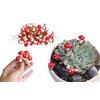 Figurka dekoracyjna CHRISTMAS DECORATION Grzybki muchomorki na druciku 30 szt. Wyposażenie 30 x figurka dekoracyjna