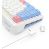 Klawiatura REDRAGON K709WBP-RGB-PRO Nova Interfejs Bluetooth