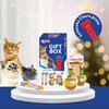 Przysmak dla kota INABA Cat Ciao Giftbox 490 g Smak Kurczak