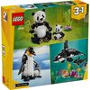 LEGO 31165 Creator 3w1 Dzikie zwierzęta: rodzina pand Nazwa "LEGO POLSKA " SPÓŁKA Z OGRANICZONĄ ODPOWIEDZIALNOŚCIĄ