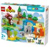 LEGO 10446 DUPLO Rodziny dzikich zwierząt 3w1 Kod producenta 10446