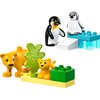 LEGO 10442 DUPLO Rodziny dzikich zwierząt: pingwiny i lwy Gwarancja 24 miesiące
