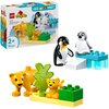 LEGO 10442 DUPLO Rodziny dzikich zwierząt: pingwiny i lwy