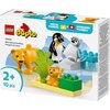 LEGO 10442 DUPLO Rodziny dzikich zwierząt: pingwiny i lwy Kod producenta 10442
