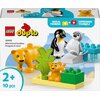 LEGO 10442 DUPLO Rodziny dzikich zwierząt: pingwiny i lwy Motyw Rodziny dzikich zwierząt: pingwiny i lwy