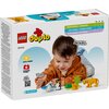LEGO 10442 DUPLO Rodziny dzikich zwierząt: pingwiny i lwy Kolekcjonerskie Nie