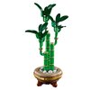 LEGO 10344 ICONS Botanicals Dracena sandera Kod producenta 10344