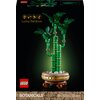 LEGO 10344 ICONS Botanicals Dracena sandera Płeć Męska