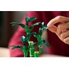LEGO 10344 ICONS Botanicals Dracena sandera Kolekcjonerskie Nie