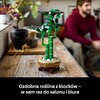 LEGO 10344 ICONS Botanicals Dracena sandera Ulica i numer budynku ul. Wołoska 22A