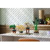 LEGO 10344 ICONS Botanicals Dracena sandera Miasto WARSZAWA