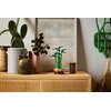 LEGO 10344 ICONS Botanicals Dracena sandera Ulica i numer budynku ul. Wołoska 22A