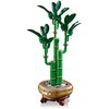 LEGO 10344 ICONS Botanicals Dracena sandera Kolekcjonerskie Nie