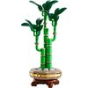LEGO 10344 ICONS Botanicals Dracena sandera Kod producenta 10344