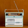 LEGO 10334 ICONS Radio w stylu retro Załączona dokumentacja Instrukcja obsługi w języku polskim