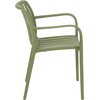 Krzesło ogrodowe HOME & GARDEN Lomi 615739 Zielony Obróbka Brak