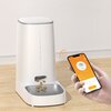 Dozownik karmy automatyczny ROJECO Button Version WiFi (pojedyncza miska) Sterowanie smartfonem Tak