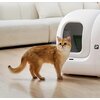 Kuweta dla kota PETKIT Pura Max 2 Premium Funkcje AI Nie