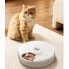 Dozownik karmy automatyczny ROJECO Cat Feeder Button Version 2L Przeznaczenie Dla kota