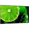 Monitor NEC MultiSync E328-2 31.5" 1920x1080px IPS Częstotliwość odświeżania obrazu [Hz] 60