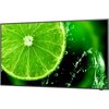 Monitor NEC MultiSync E328-2 31.5" 1920x1080px IPS Czas reakcji matrycy [ms] 9