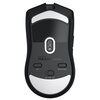 Mysz HATOR Pulsar 3 Wireless HTM630 Typ myszy Optyczna