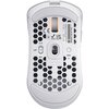 Mysz HATOR Stellar Pro HTM551 Typ myszy Optyczna