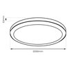 Plafon sufitowy EKO LIGHT Vera EKP0473 Czarny Rodzaj Plafon sufitowy