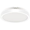 Lampa sufitowa EKO LIGHT Vera EKP0470 Biały