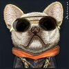 Etui NIMMY Glasses Cool Dog do Apple iPhone 15 Czarny Marka telefonu Apple