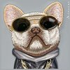 Etui NIMMY Glasses Cool Dog do Apple iPhone 15 Szary Seria telefonu iPhone