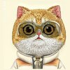 Etui NIMMY Cool&Cute 2.0 Cat do Apple iPhone 15 Pro Khaki Materiał Metal