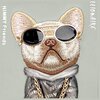 Etui NIMMY Glasses Cool Dog do Apple iPhone 15 Pro Max Szary Gwarancja 24 miesiące