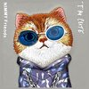 Etui NIMMY Glasses Cool Cat do Apple iPhone 15 Pro Szary Gwarancja 24 miesiące