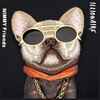 Etui NIMMY Glasses Cool Dog do Apple iPhone 16 Pro Max Czarny Gwarancja 24 miesiące