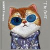 Etui NIMMY Glasses Cool Cat do Apple iPhone 16 Pro Szary Gwarancja 24 miesiące