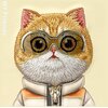 Etui NIMMY Cool&Cute 2.0 Cat do Apple iPhone 16 Pro Khaki Gwarancja 24 miesiące