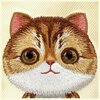Etui NIMMY Big Eyed Pet 2.0 Cat do Apple iPhone 16 Khaki Etui wodoszczelne Nie