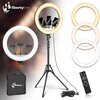 Lampa pierścieniowa LIBERTYLINE Lumo Maksymalna moc [W] 48