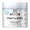 Suplement dla psa GINGER DOG Stawy i Kości 180 g