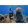 Kamera sportowa INSTA360 X4 INVISIBLE DIVE BUNDLE, filmy 360° w rozdzielczości 8K/30 FPS, Wi-Fi, Bluetooth Liczba klatek na sekundę 2.7K - 25 kl/s