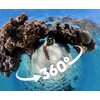 Kamera sportowa INSTA360 X4 INVISIBLE DIVE BUNDLE, filmy 360° w rozdzielczości 8K/30 FPS, Wi-Fi, Bluetooth Liczba klatek na sekundę 2.7K - 30 kl/s