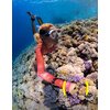 Kamera sportowa INSTA360 X4 INVISIBLE DIVE BUNDLE, filmy 360° w rozdzielczości 8K/30 FPS, Wi-Fi, Bluetooth Liczba klatek na sekundę 2.7K - 50 kl/s