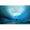 Kamera sportowa INSTA360 X4 INVISIBLE DIVE BUNDLE, filmy 360° w rozdzielczości 8K/30 FPS, Wi-Fi, Bluetooth Liczba klatek na sekundę 2.7K - 60 kl/s