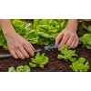 Rozdzielacz GARDENA 13206-20 Zawór Nie