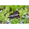 Rozdzielacz GARDENA 13206-20 Gwarancja 24 miesiące