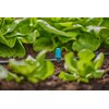 Dysza zraszająca GARDENA Micro-Drip-System 13316-20 (10 szt.) Ulica i numer budynku ul. Burakowska 14