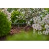Kroplownik końcowy GARDENA Micro-Drip-System 13302-20 (10 szt.) Rodzaj Kroplownik końcowy