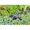 Dysza zraszająca GARDENA Micro-Drip-System 13306-20 (10 szt.) Rodzaj Dysza zraszająca