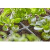 Czwórnik GARDENA Micro-Drip-System 13214-20 (10 szt.) Rodzaj Czwórnik